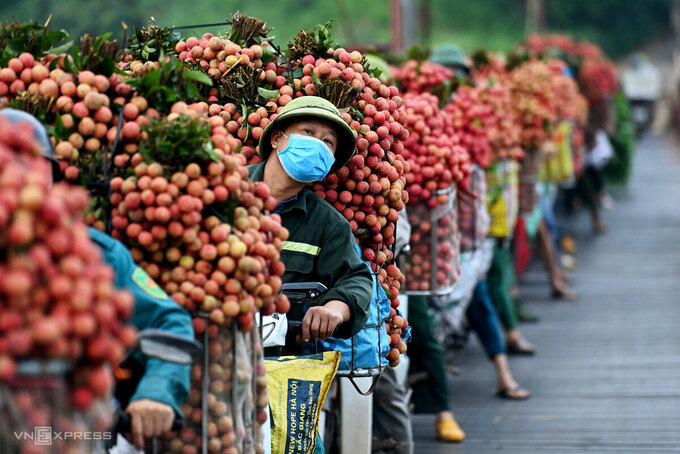 Nông dân Bắc Giang xếp hàng chờ đi cân vải thiều, tháng 6/2021. Ảnh: Giang Huy